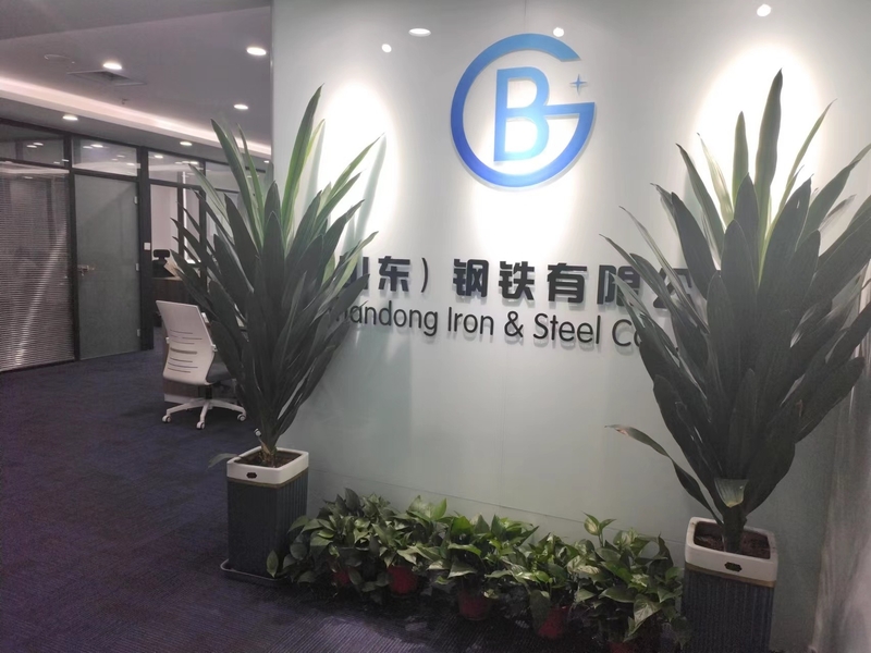 Cina Baogang (Shandong) Steel Co., Ltd Profil Perusahaan